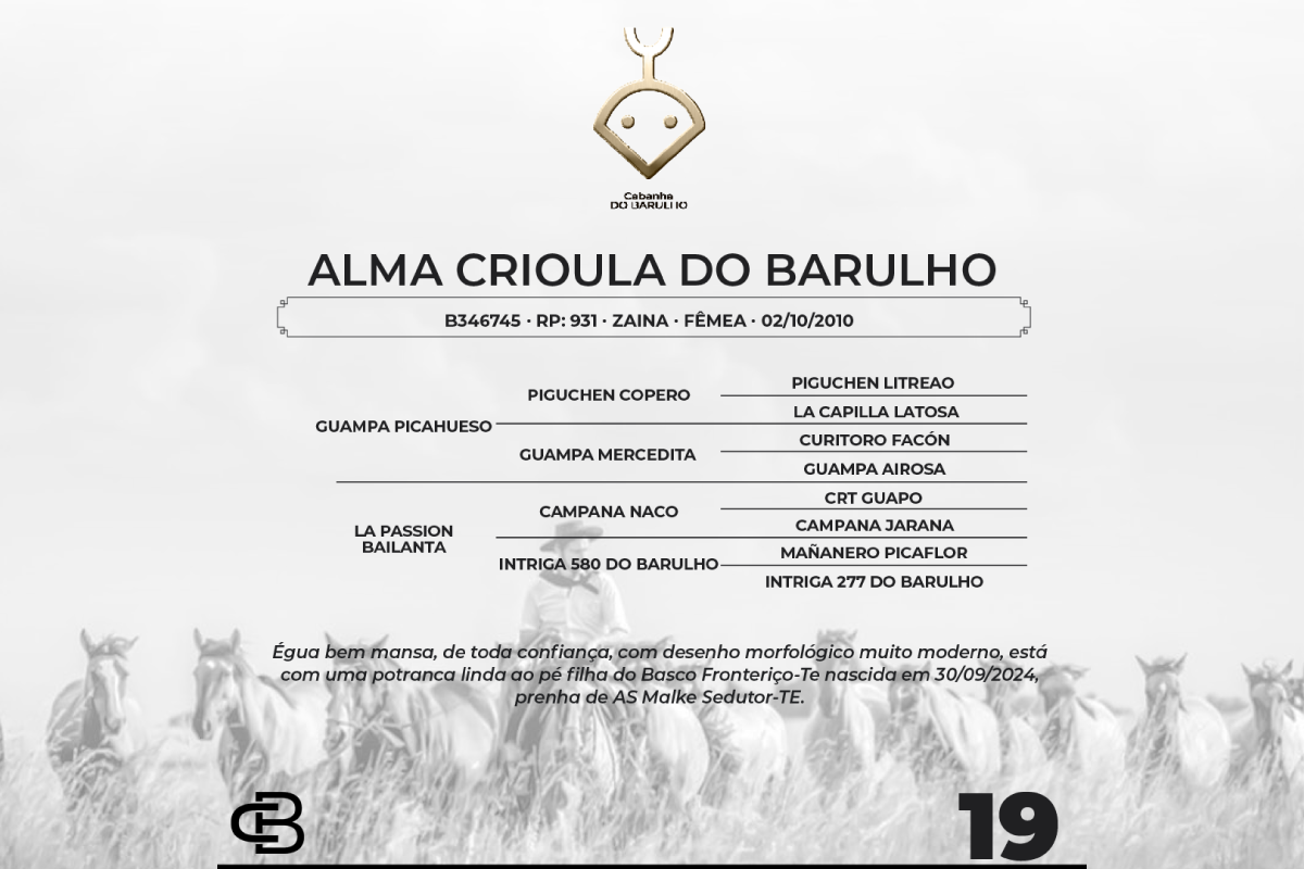 Geração ALMA CRIOULA DO BARULHO