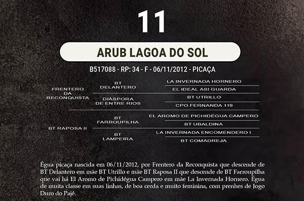 Geração ARUB LAGOA DO SOL