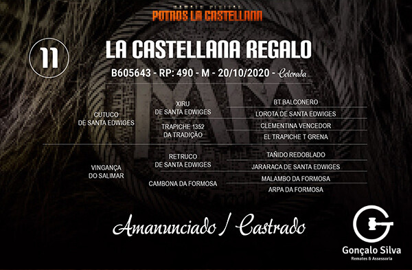 Geração LA CASTELLANA REGALO