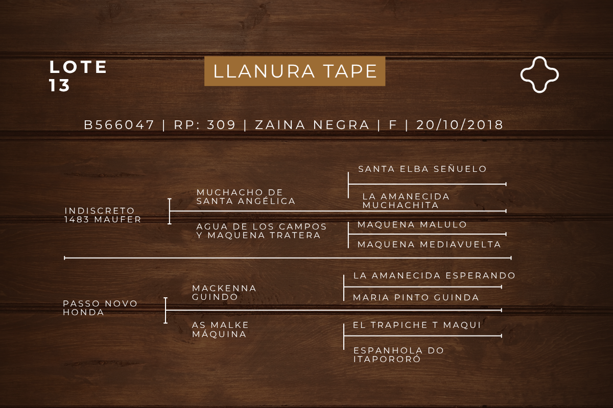 Geração LLANURA TAPE