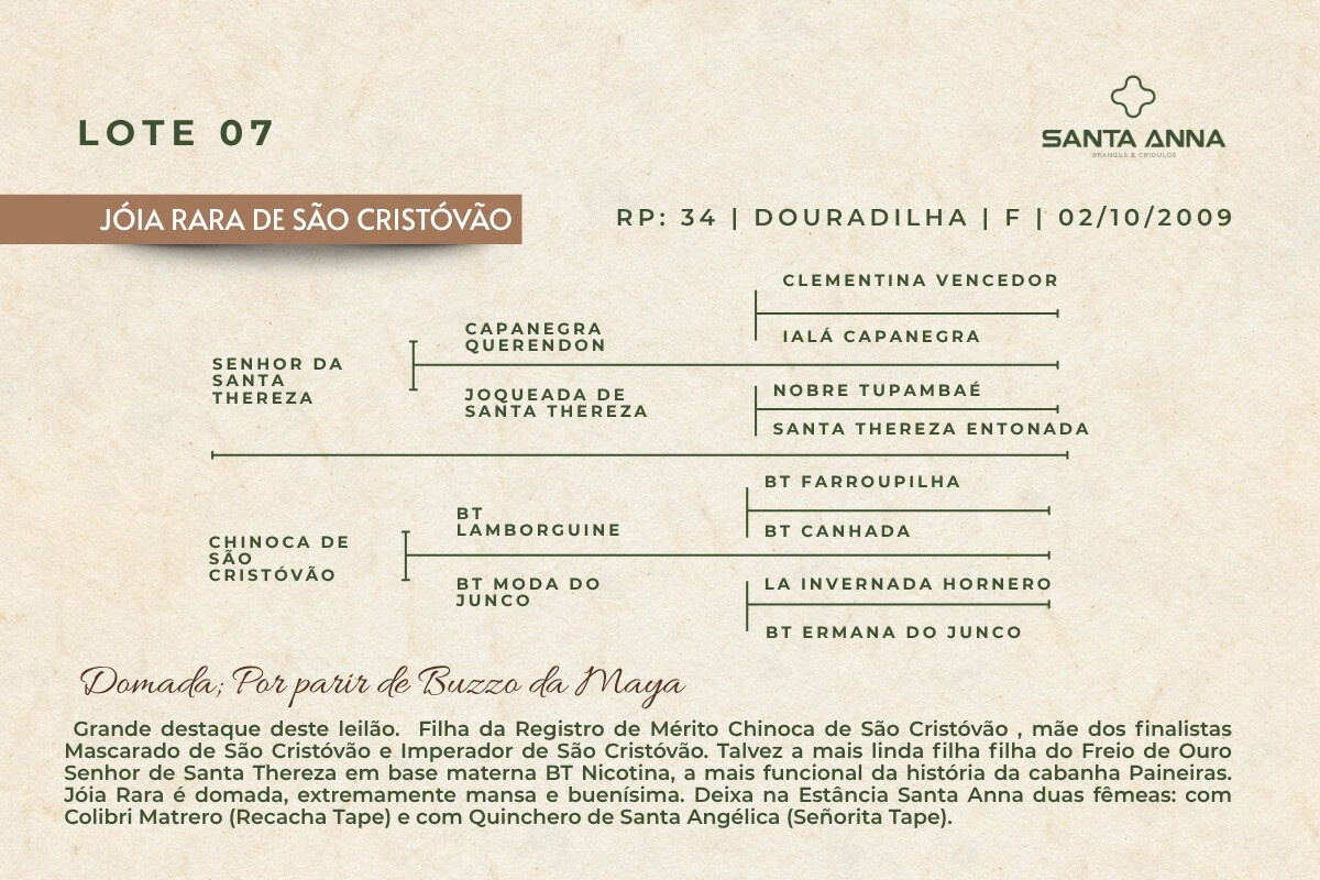 Geração JÓIA RARA DE SÃO CRISTÓVÃO