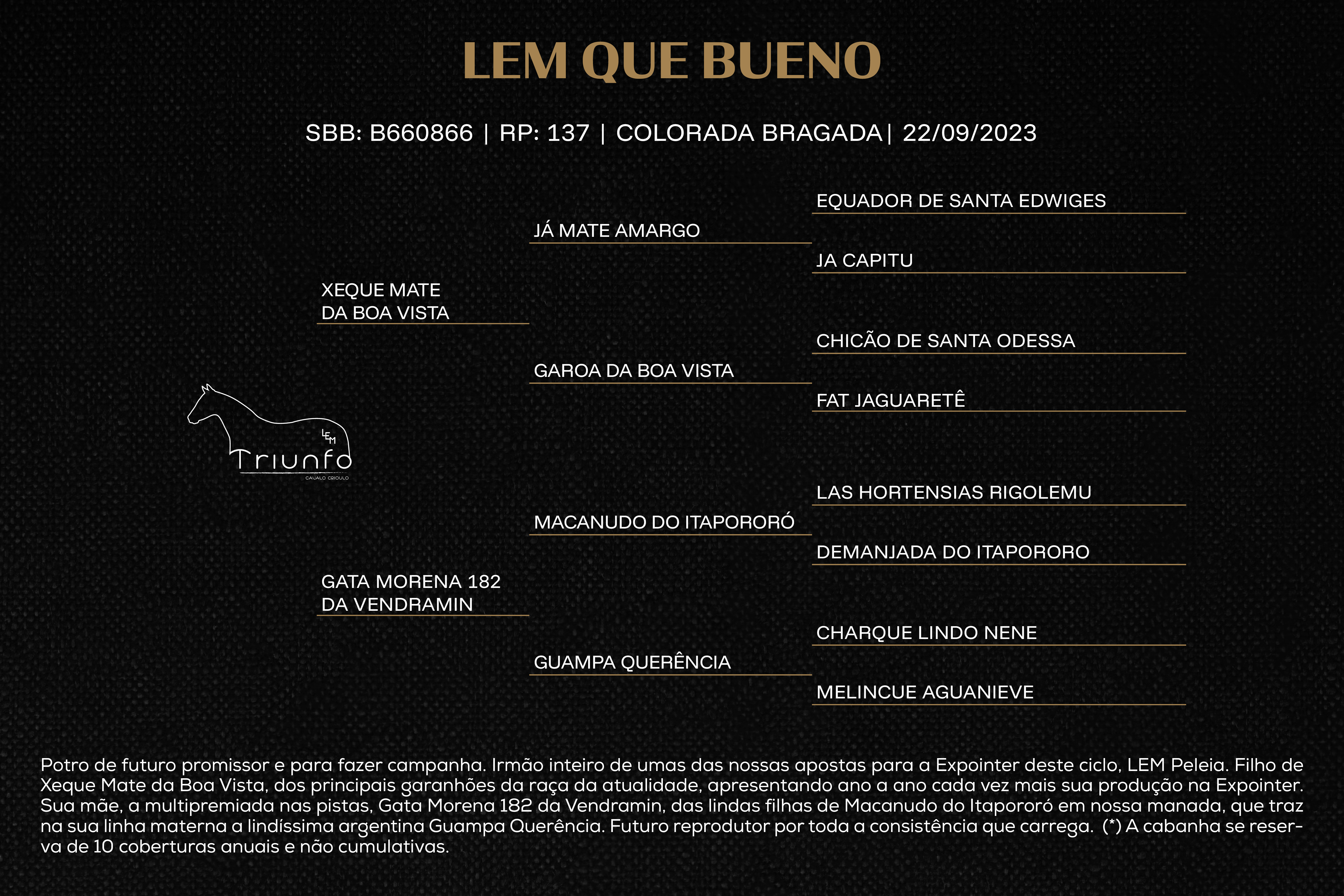 Geração LEM QUE BUENO