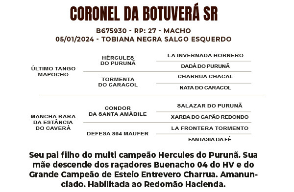 Geração CORONEL DA BOTUVERÁ SR