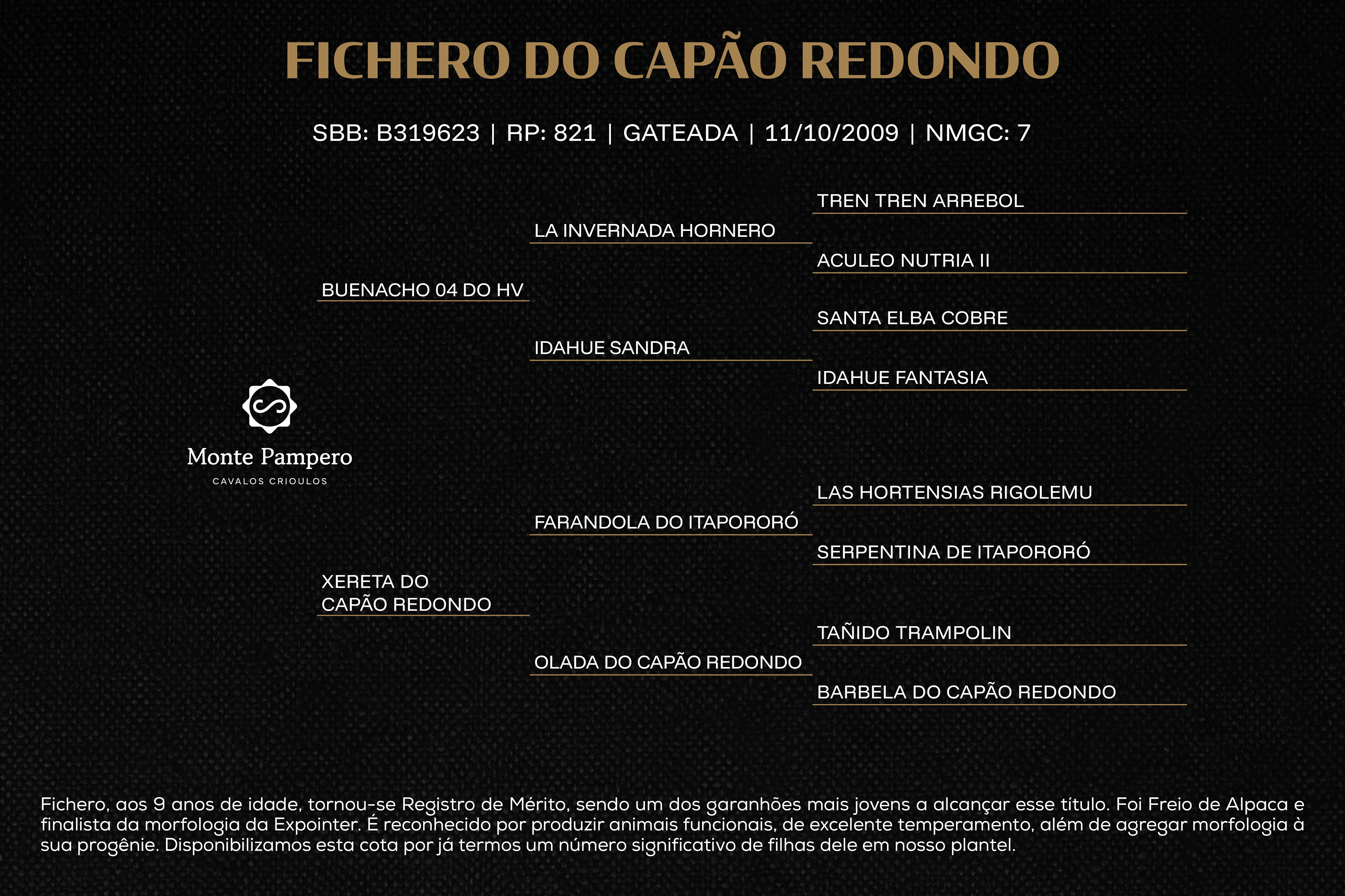 Geração FICHERO DO CAPÃO REDONDO (Cota de 2,5%)