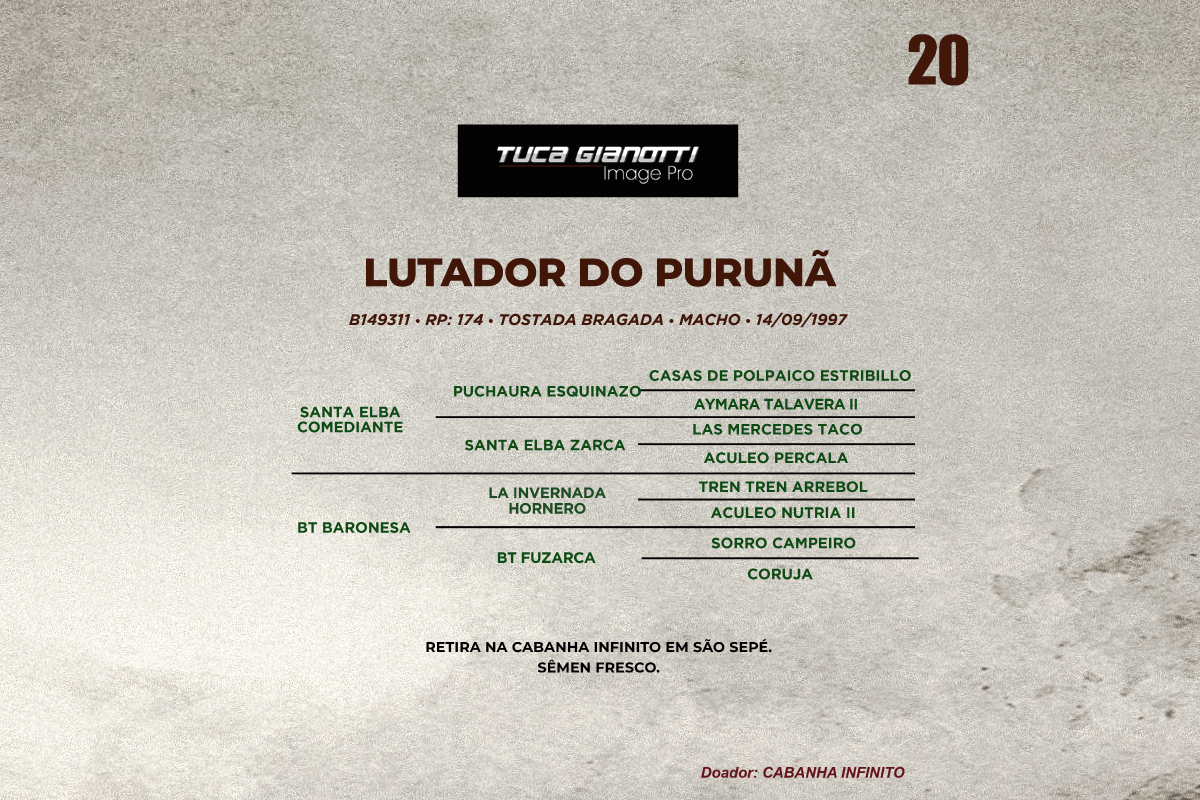 Geração LUTADOR DO PURUNA 