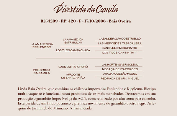 Geração DIVERTIDA DA CAMILA