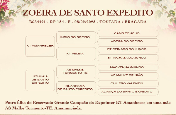 Geração ZOEIRA DE SANTO EXPEDITO