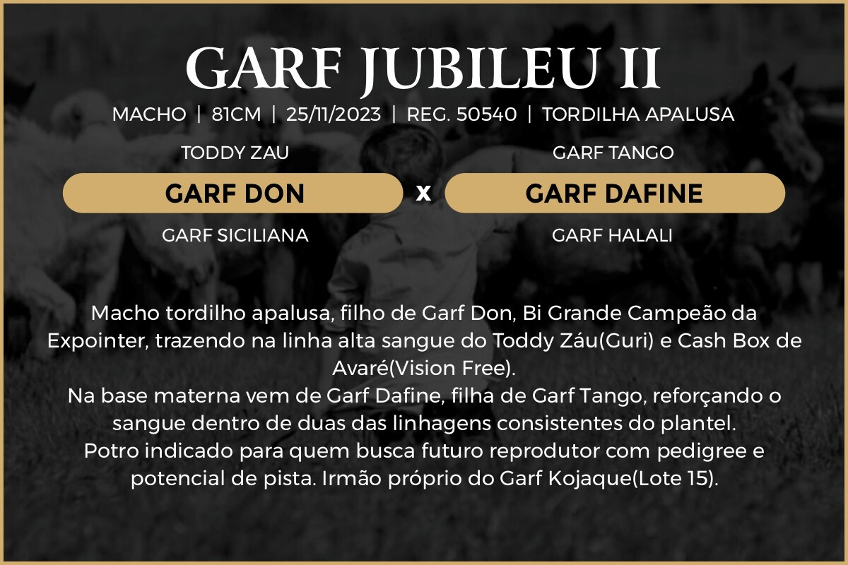 Geração GARF JUBILEU II