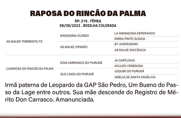 Geração RAPOSA DO RINÇÃO DA PALMA