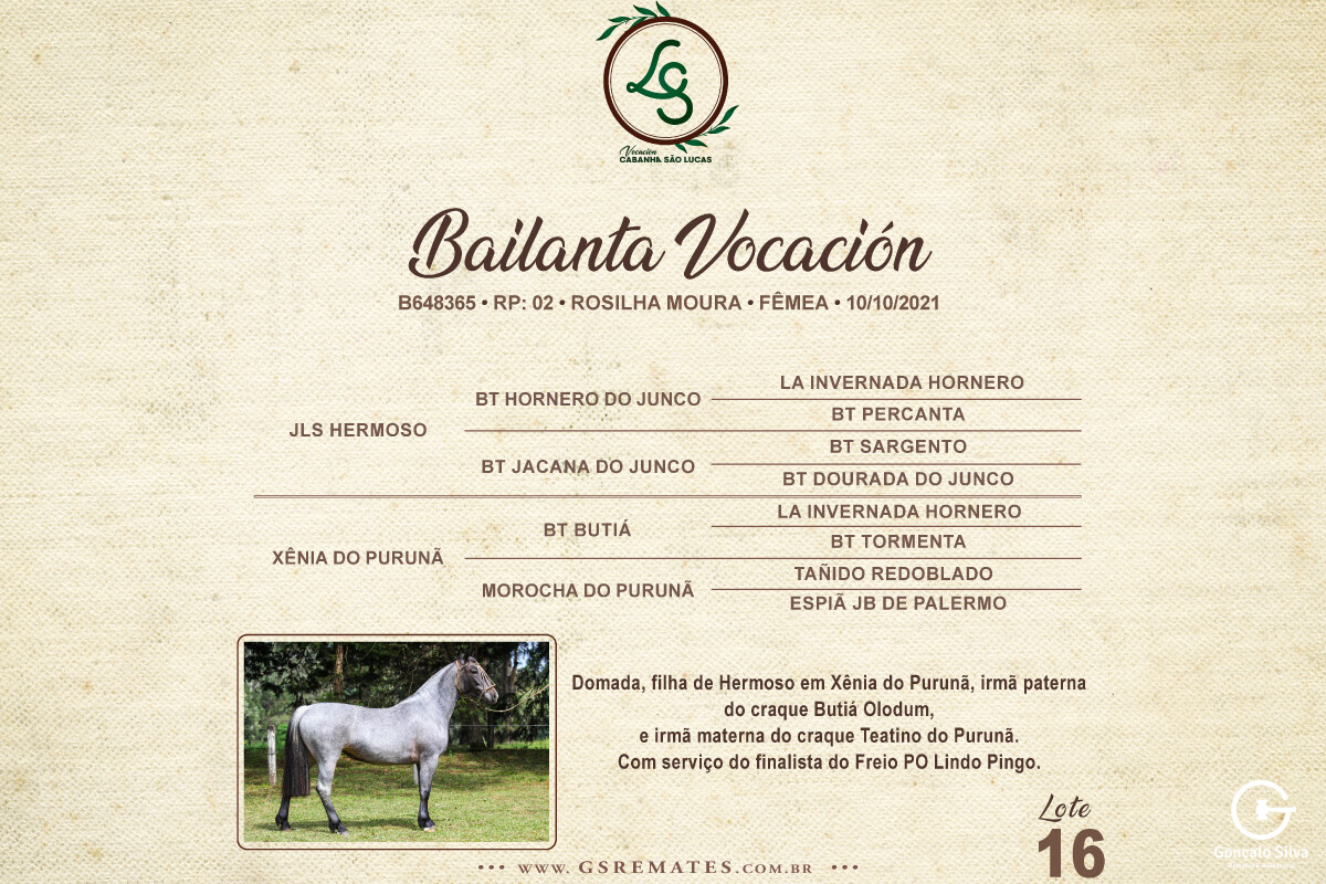 Geração BAILANTA VOCACIÓN