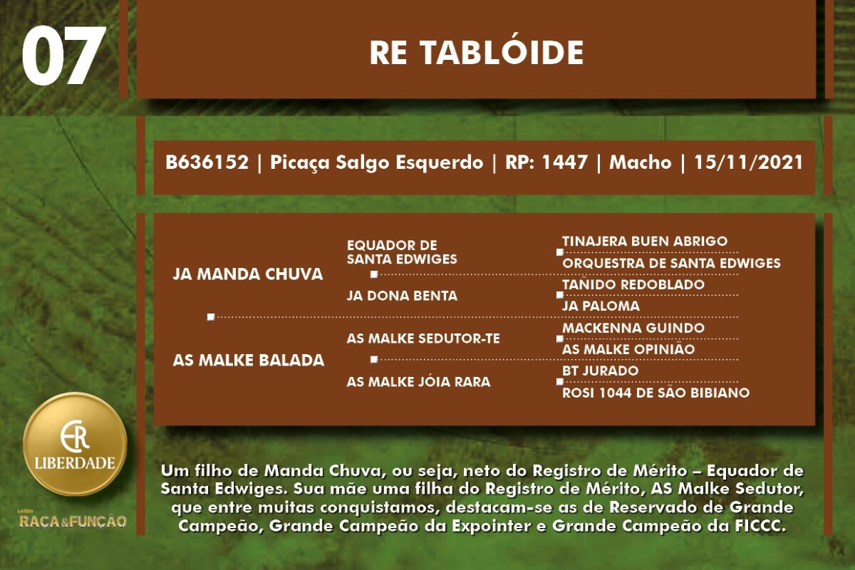Geração RE TABLÓIDE