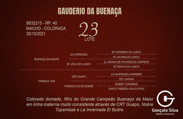 Geração GAUDERIO DA BUENAÇA