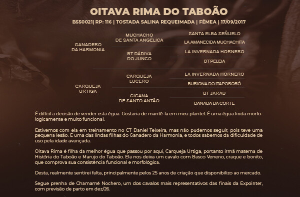 Geração OITAVA RIMA DO TABOÃO 