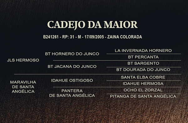 Geração CADEJO DA MAIOR