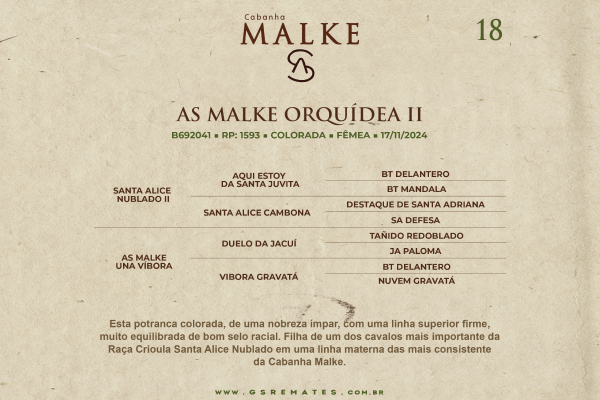 Geração AS MALKE ORQUÍDEA II