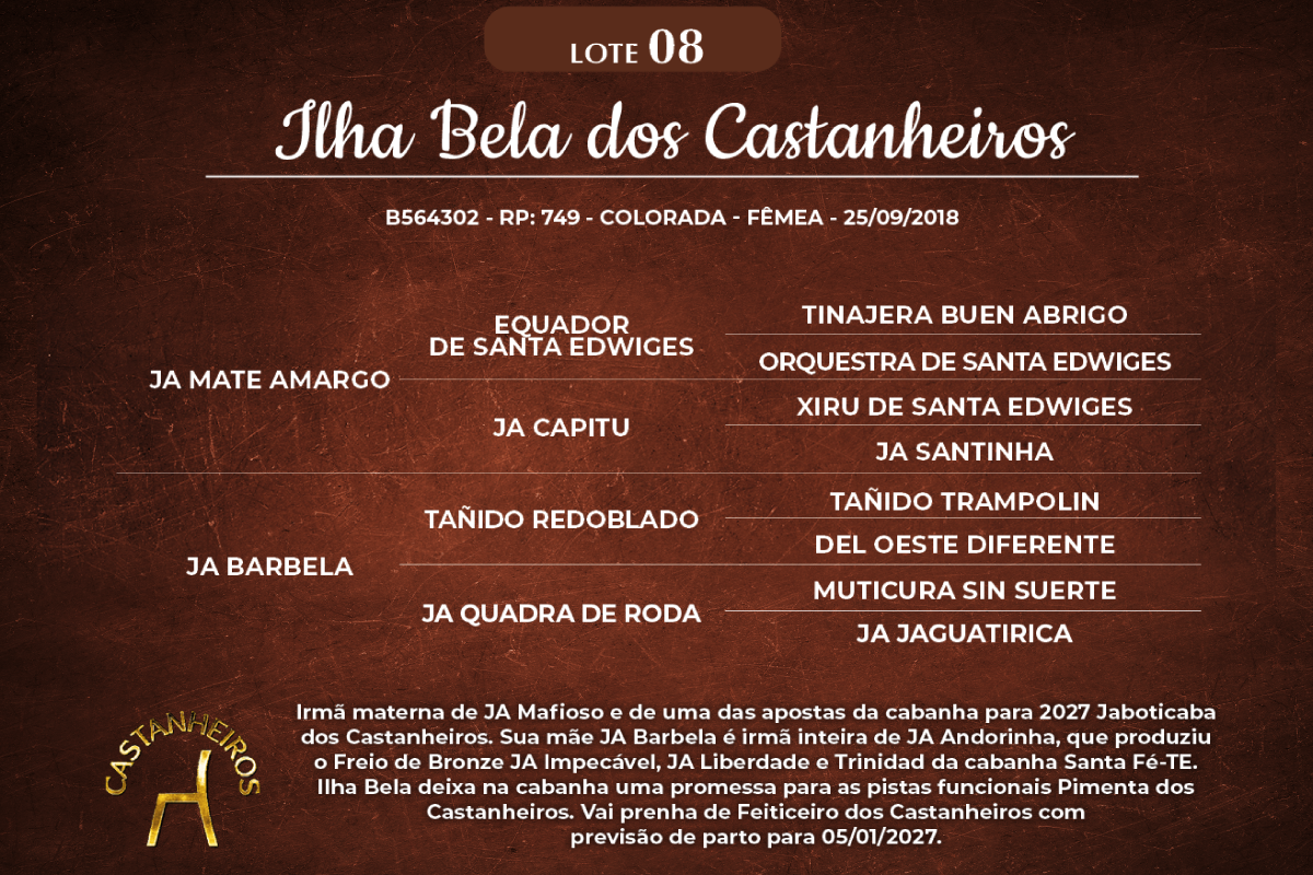 Geração ILHA BELA DOS CASTANHEIROS