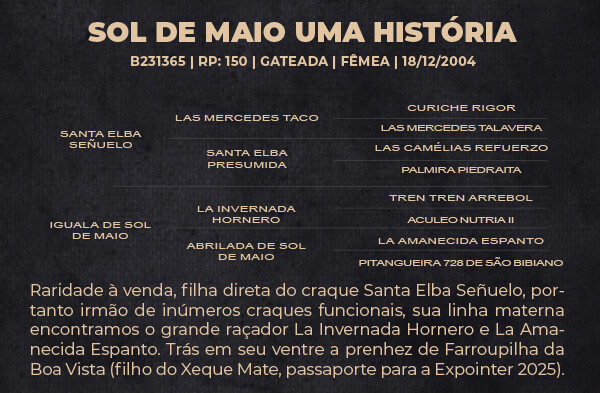 Geração SOL DE MAIO UMA HISTÓRIA