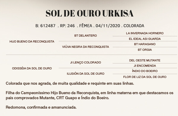 Geração SOL DE OURO URKISA