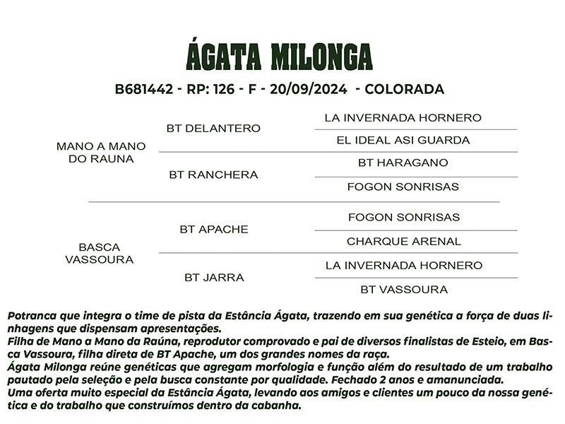 Geração ÁGATA MILONGA 