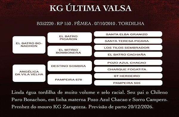 Geração KG ÚLTIMA VALSA