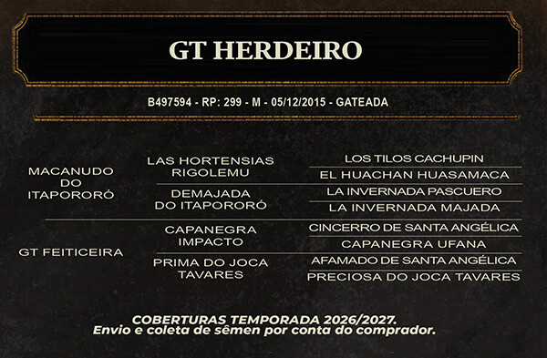 Geração GT HERDEIRO 