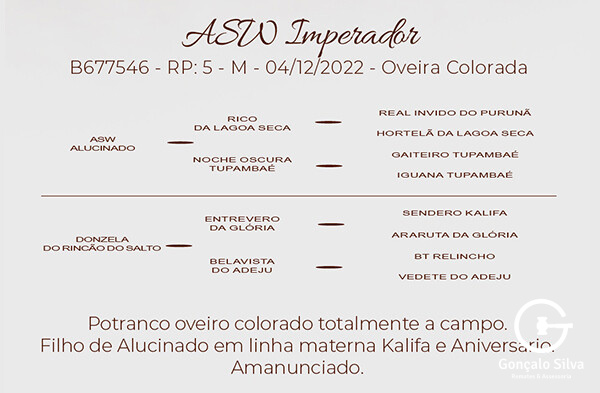 Geração ASW IMPERADOR