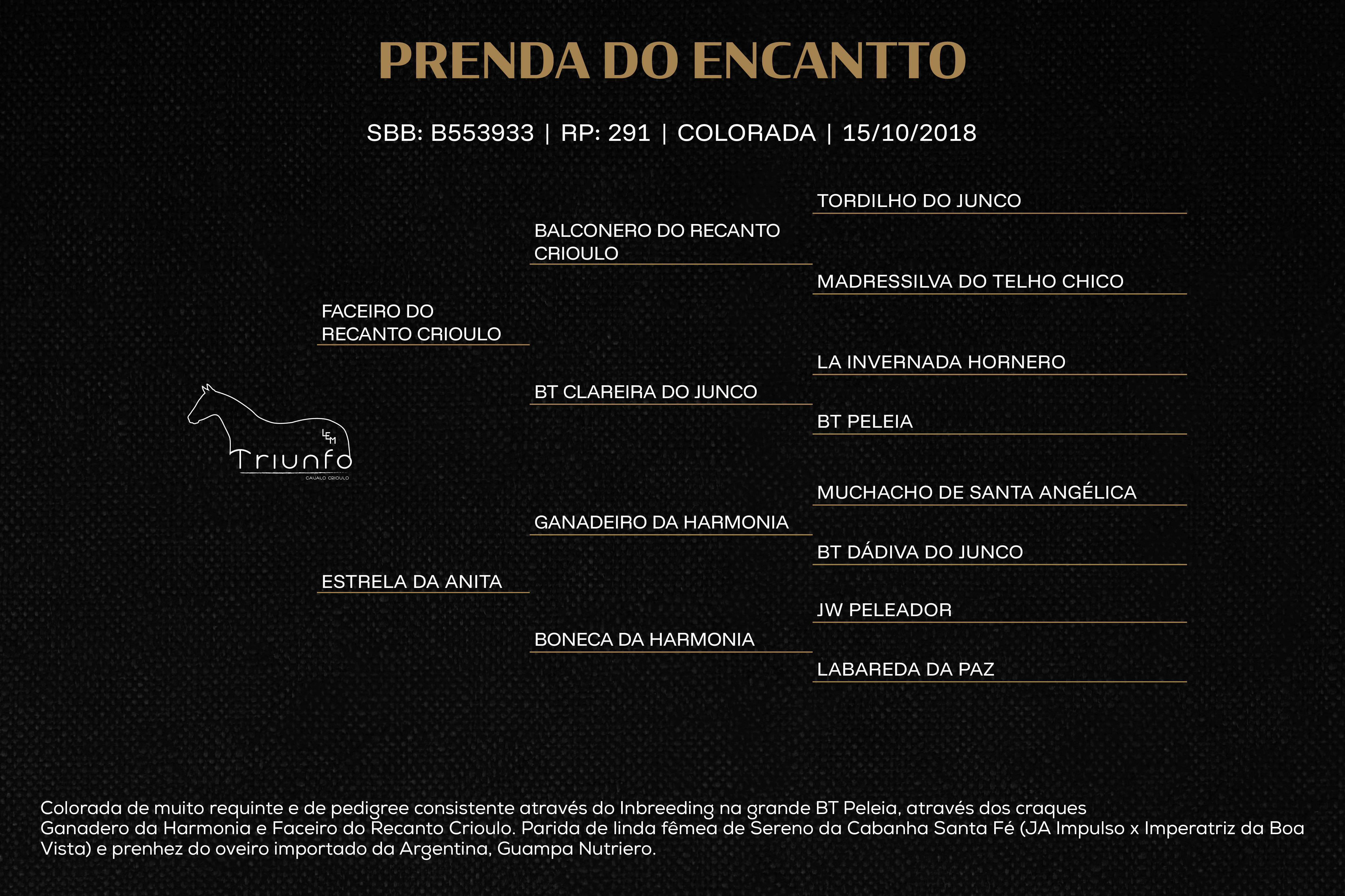 Geração PRENDA DO ENCANTTO