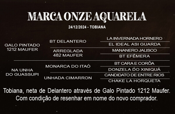 Geração MARCA ONZE AQUARELA 