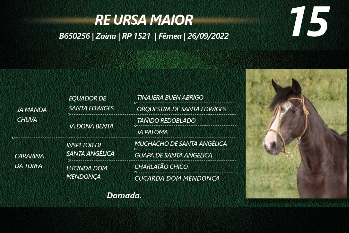 Geração RE URSA MAIOR