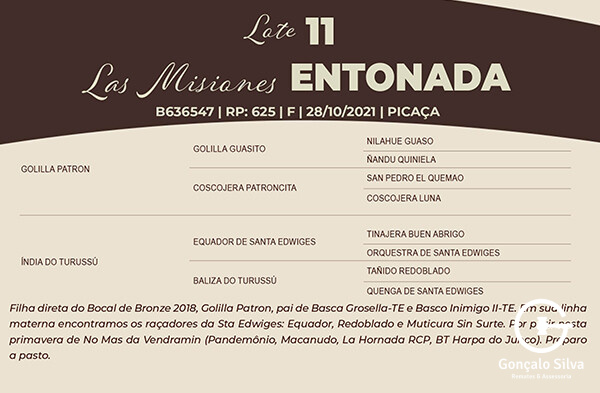 Geração LAS MISIONES ENTONADA