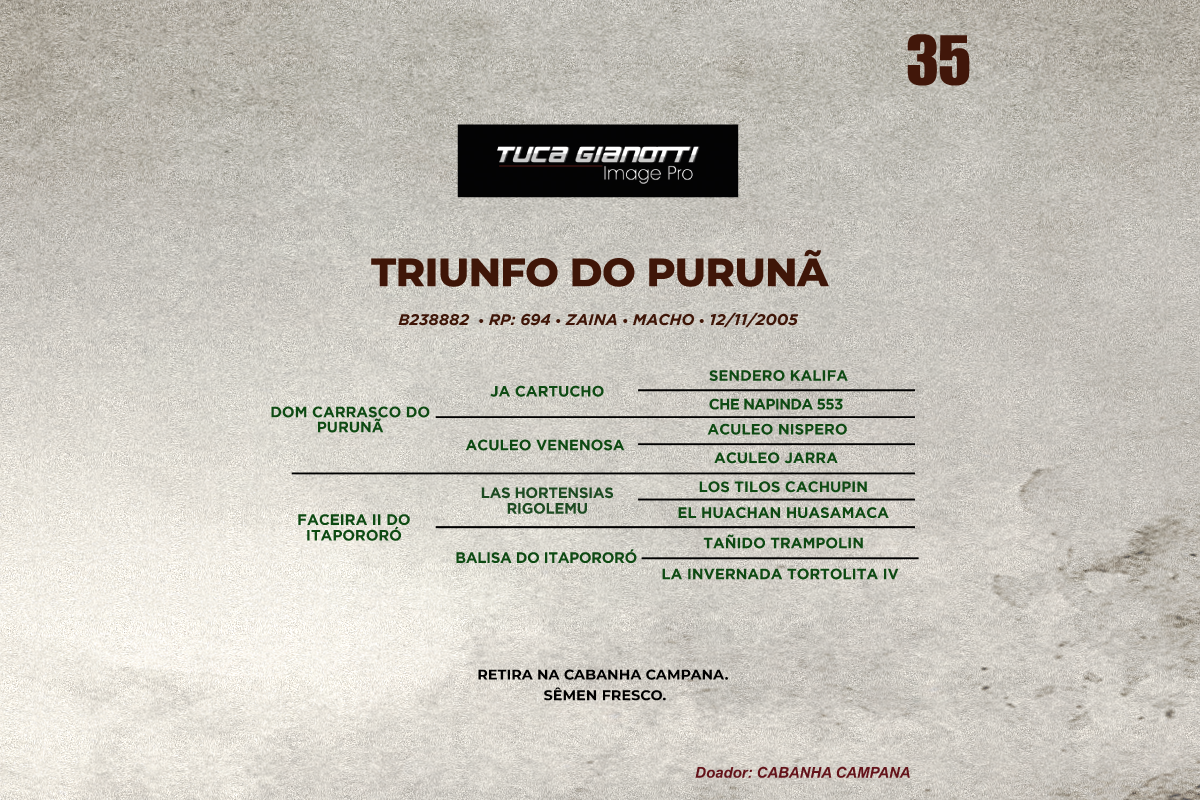 Geração TRIUNFO DO PURUNA 