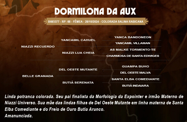 Geração DORMILONA DA AUX