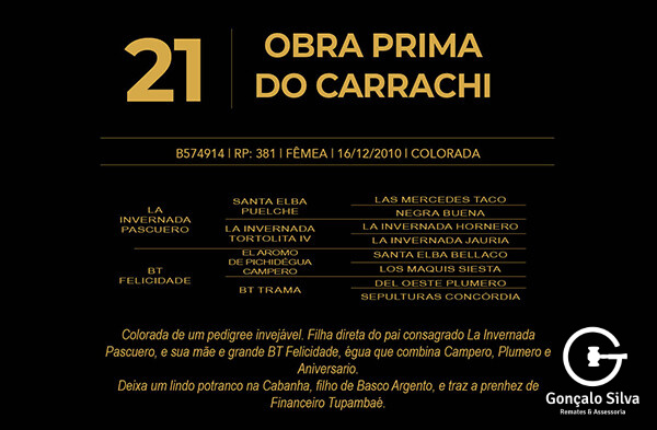 Geração OBRA PRIMA DO CARRACHI