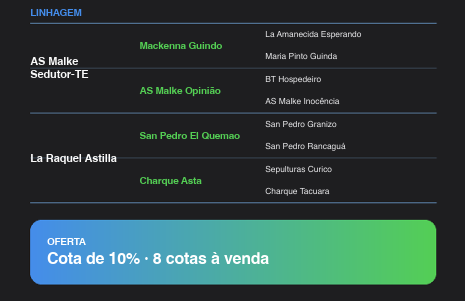 Geração MAPOGO DA ALIANÇA