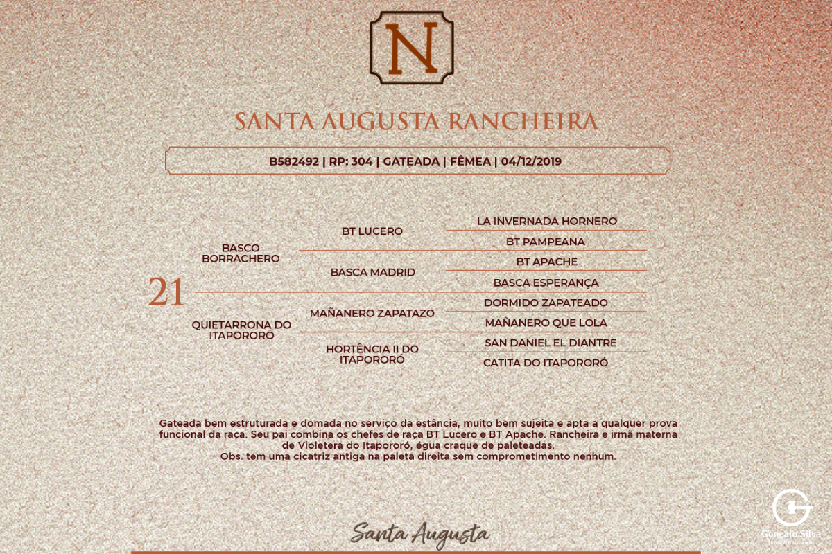 Geração SANTA AUGUSTA RANCHEIRA 