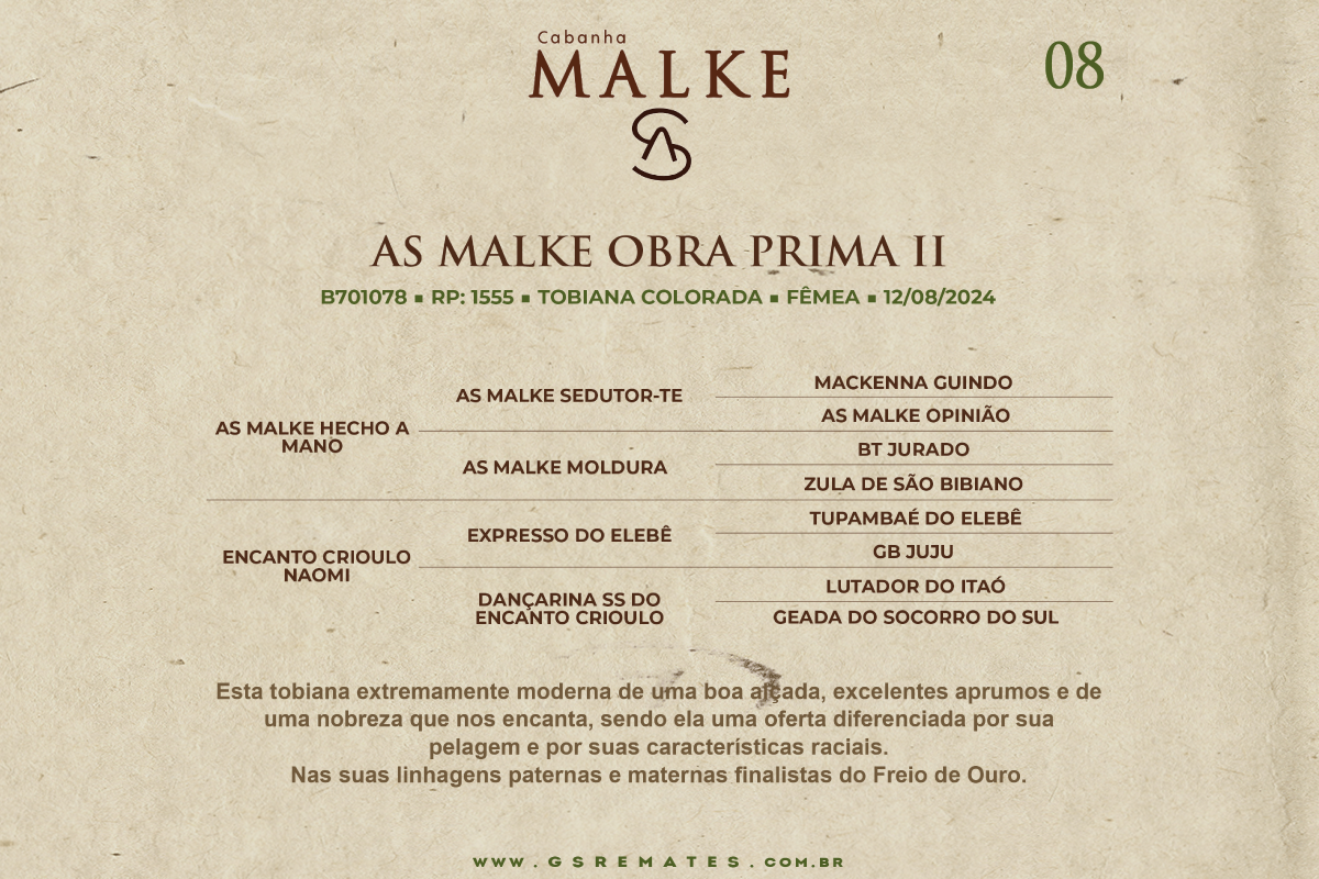 Geração AS MALKE OBRA PRIMA II