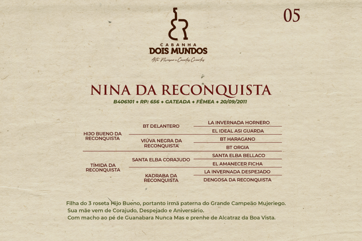 Geração NINA DA RECONQUISTA