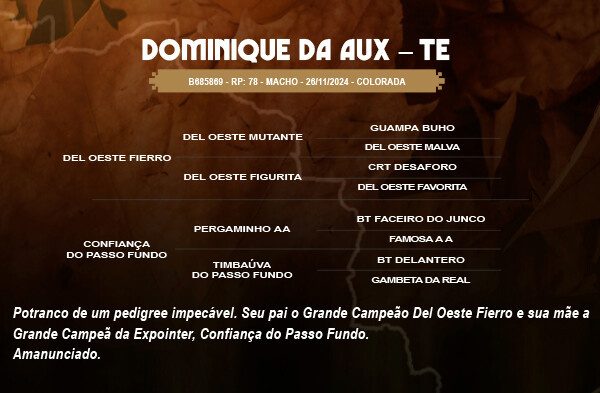 Geração DOMINIQUE DA AUX - TE