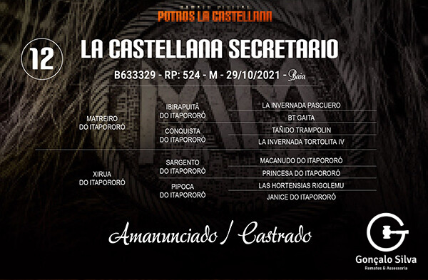 Geração LA CASTELLANA SECRETARIO