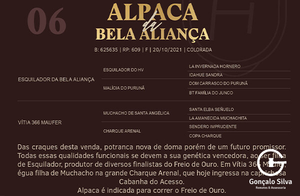 Geração ALPACA DA BELA ALIANÇA 