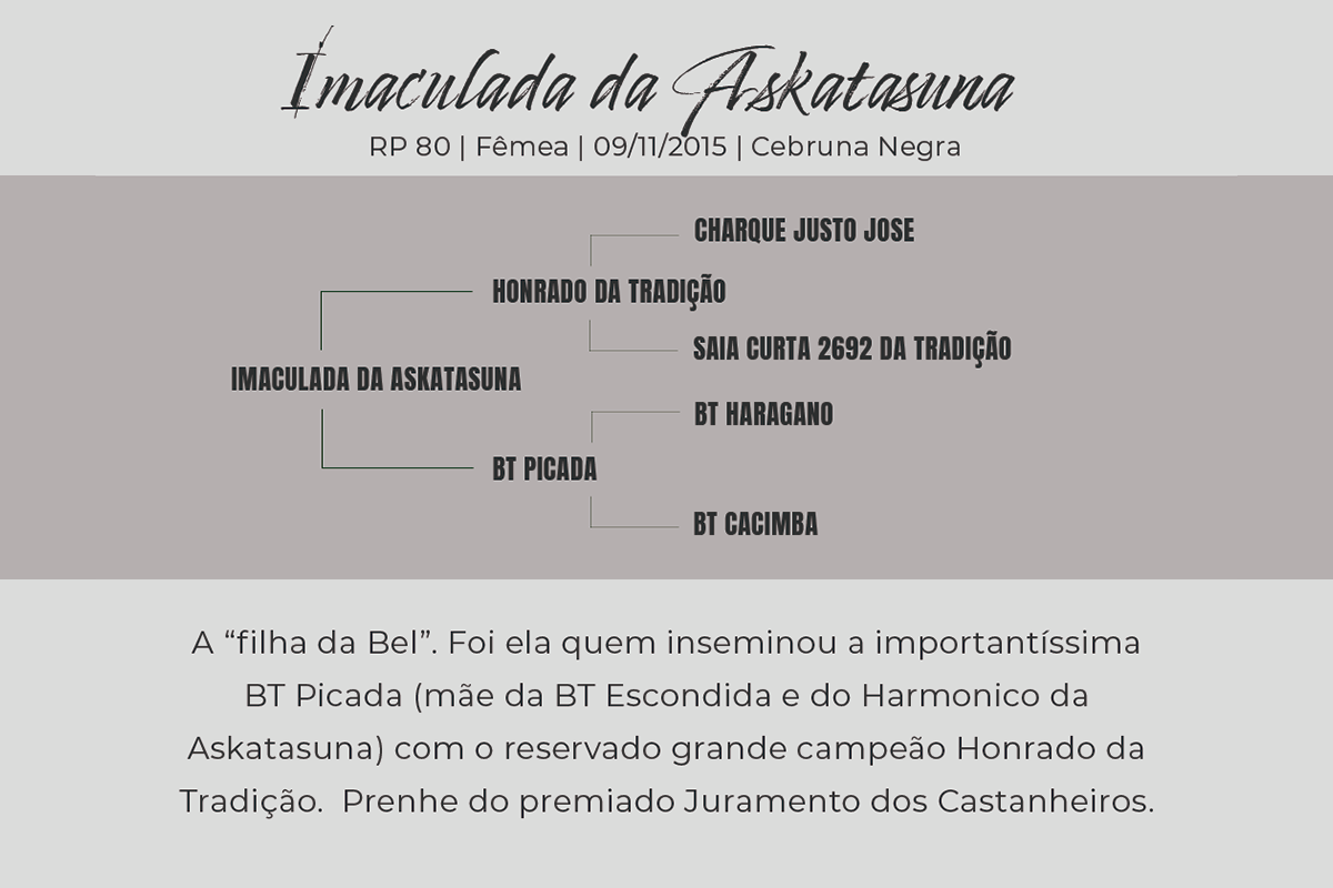 Geração IMACULADA DA ASKATASUNA