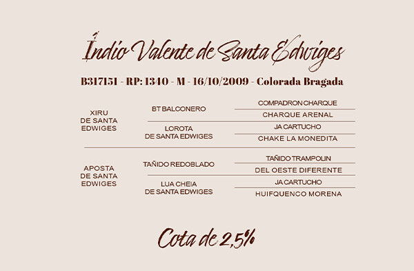 Geração COTA DE 2,5% DE INDIO VALENTE DE SANTA EDWIGES