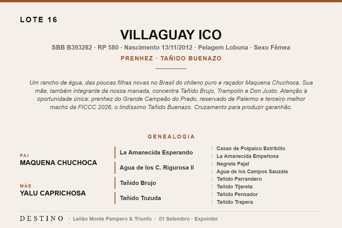 Geração VILLAGUAY ICO 