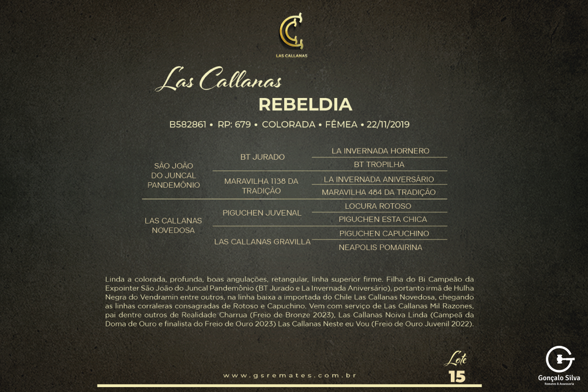 Geração LAS CALLANAS REBELDIA