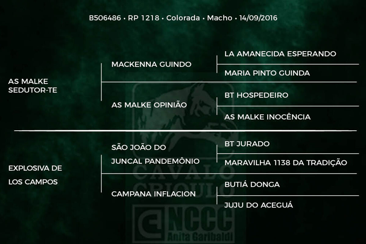 Geração AS MALKE FOGO DE CHÃO