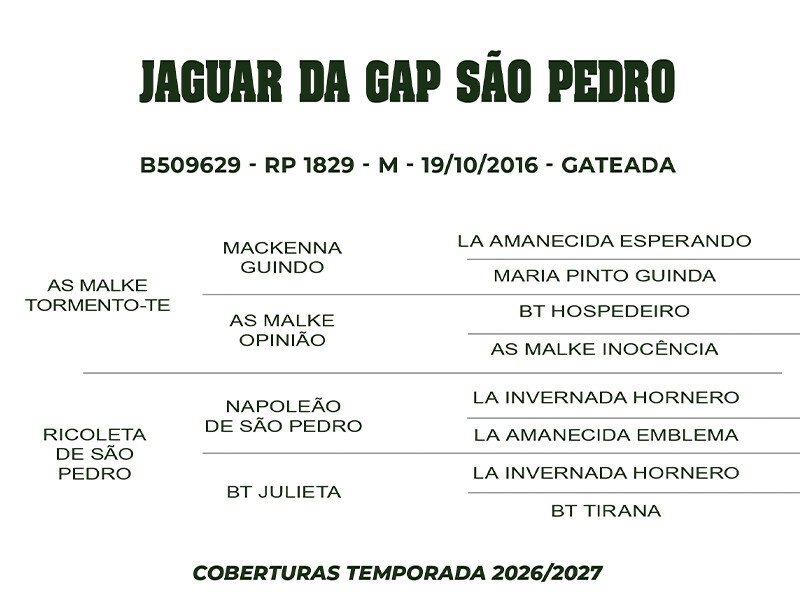 Geração COBERTURA JAGUAR DA GAP SAO PEDRO 