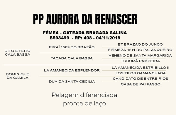 Geração PP AURORA DA RENASCER