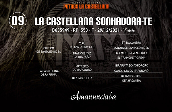 Geração LA CASTELLANA SONHADORA-TE
