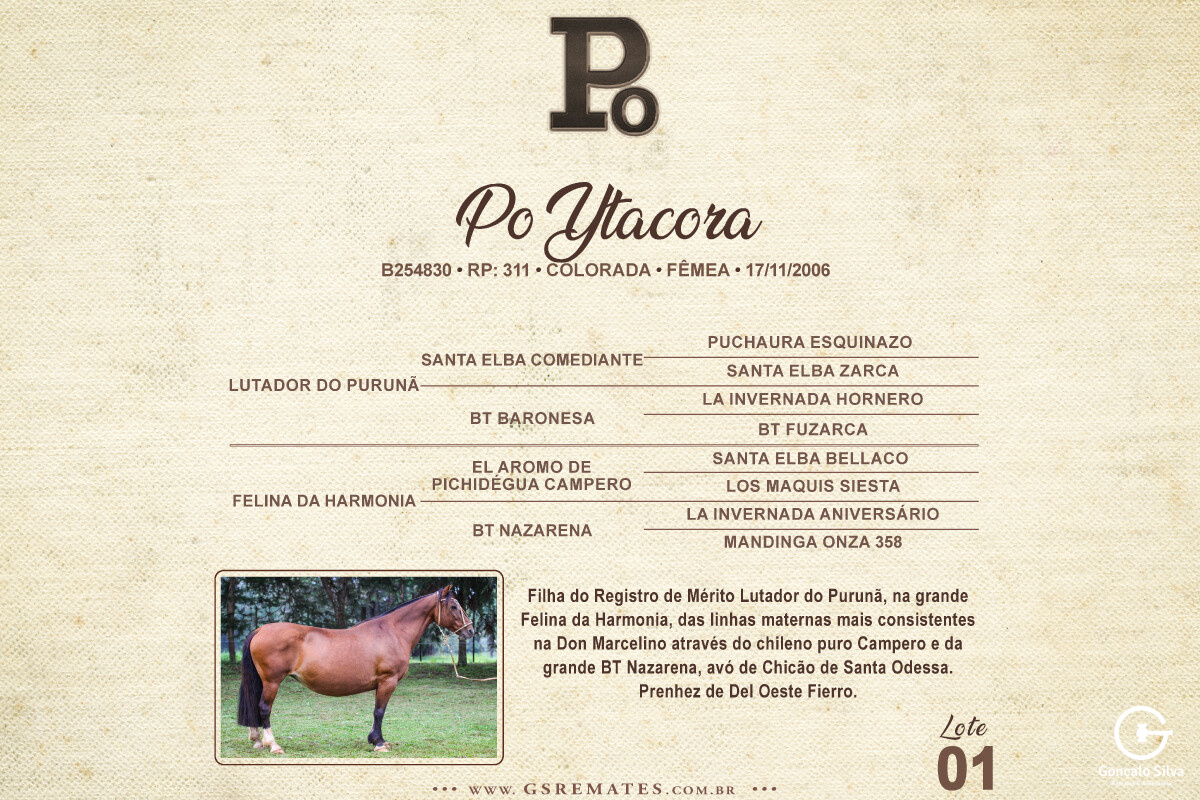 Geração PO YTACORA