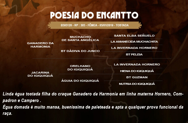 Geração POESIA DO ENCANTTO
